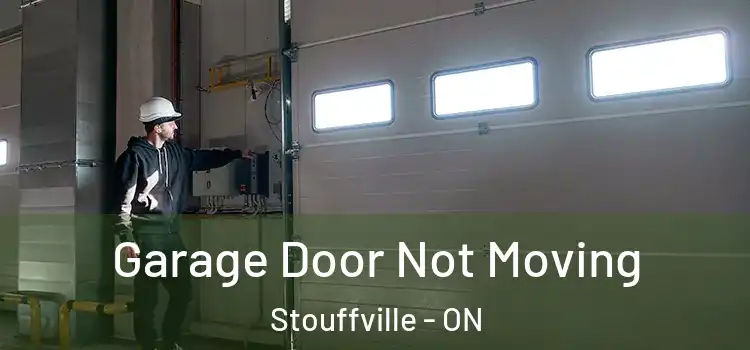  Garage Door Not Moving Stouffville - ON