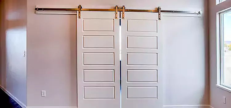 Glass Barn Door with Installation Hardware Kit Stouffville